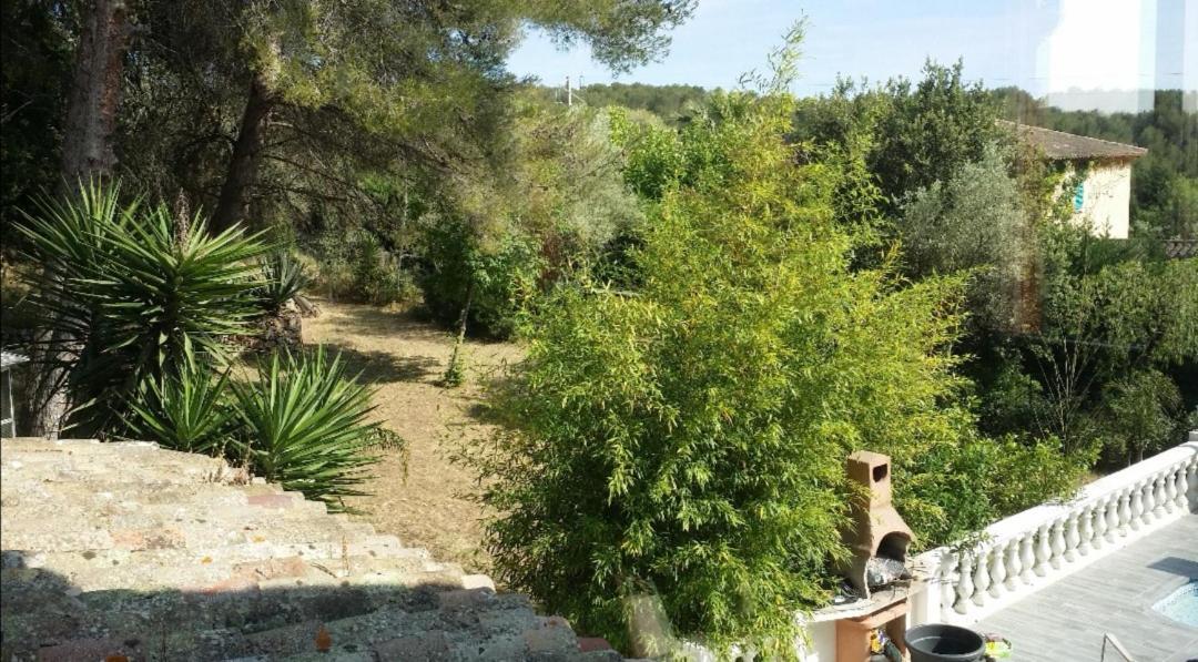 Appartement Pinede Man Yelle Sanary-sur-Mer Zewnętrze zdjęcie